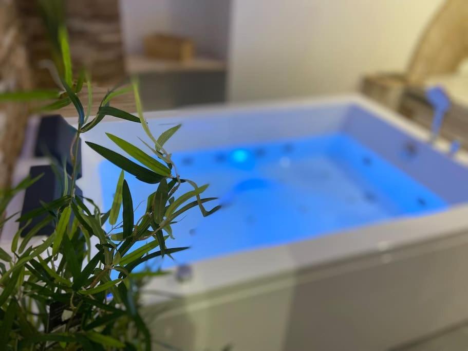 Lover Dose Spa Vierzon Exterior photo